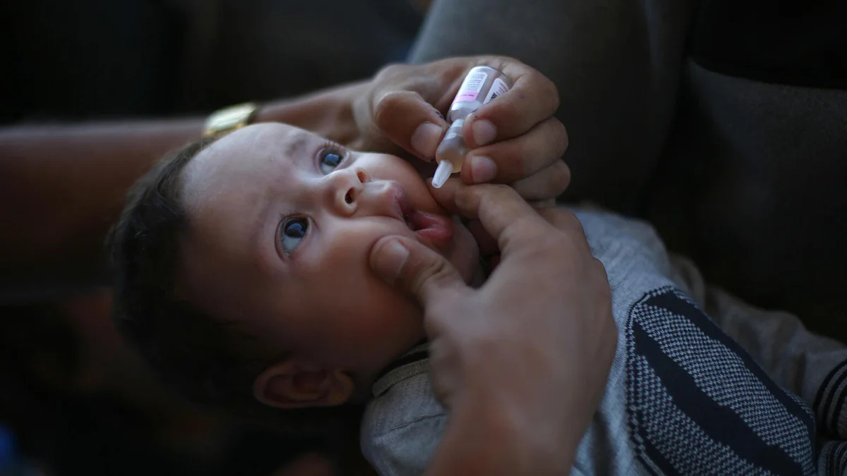 Ein Kind erhält eine Polio-Impfung.